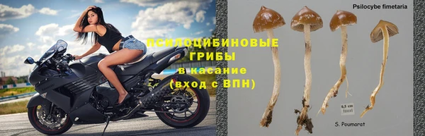 сатива Алексин