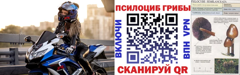 Псилоцибиновые грибы мухоморы  Темрюк 