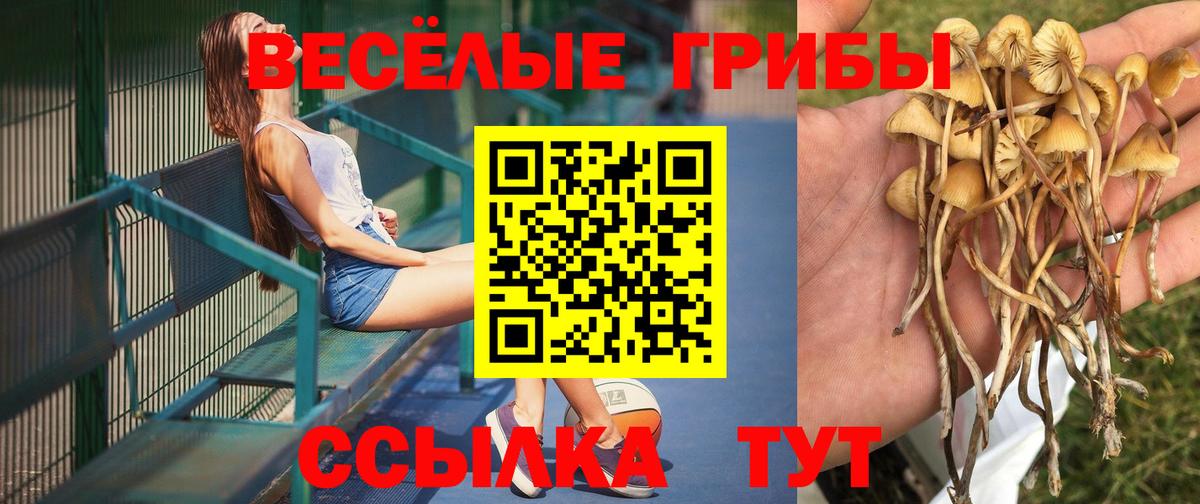 Псилоцибиновые грибы прущие грибы  Галлюциногенные грибы Psilocybe  Вход с VPN  Темрюк 